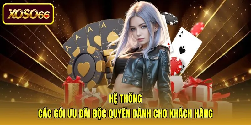 Danh mục khuyến mãi độc quyền và giao diện trực quan