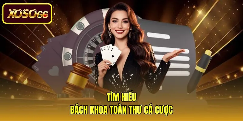 Hệ thống blog tra cứu dữ liệu và kỹ năng thực chiến